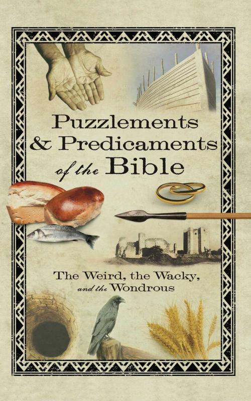 Cover of the book Puzzlements & Predicaments of the Bible by Howard Books, Howard Books