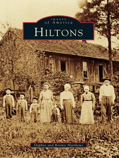 Cover of the book Hiltons by Daphne Matthews, Ronnie Matthews, Arcadia Publishing Inc.