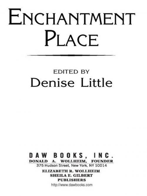 Cover of the book Enchantment Place by , DAW