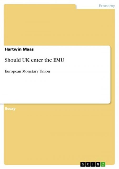 Cover of the book Should UK enter the EMU by Hartwin Maas, GRIN Publishing