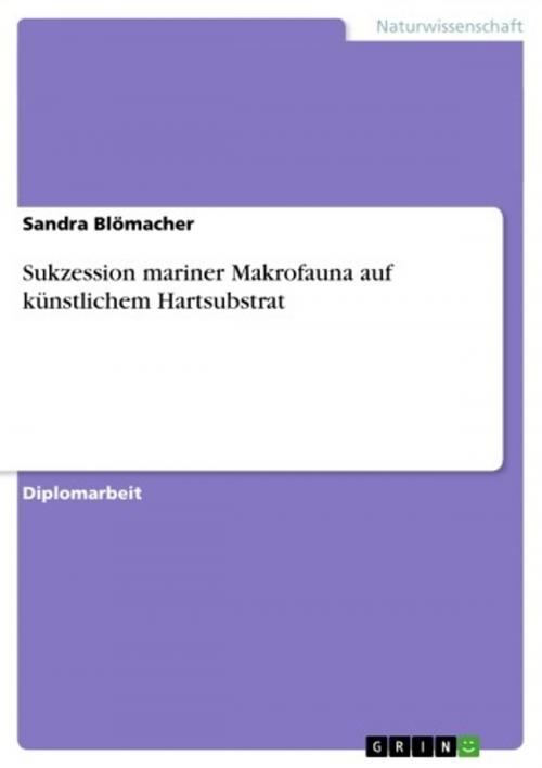 Cover of the book Sukzession mariner Makrofauna auf künstlichem Hartsubstrat by Sandra Blömacher, GRIN Verlag