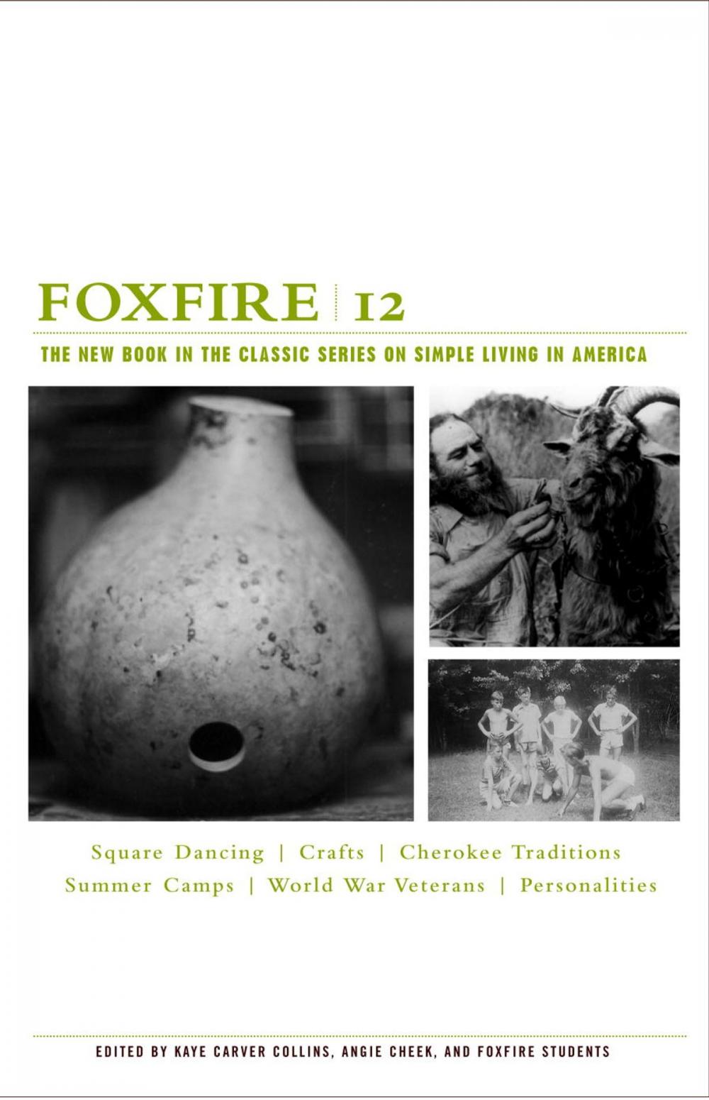 Big bigCover of Foxfire 12