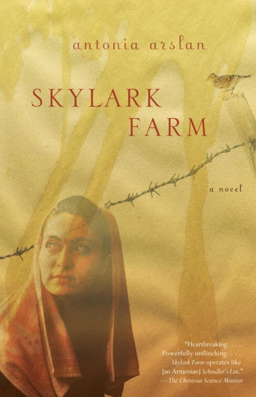 Big bigCover of Skylark Farm