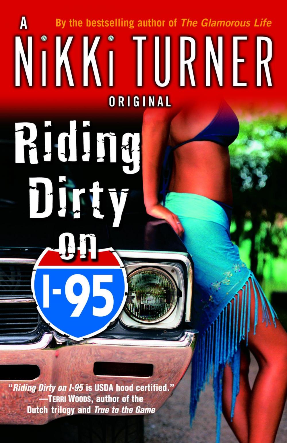 Big bigCover of Riding Dirty on I-95