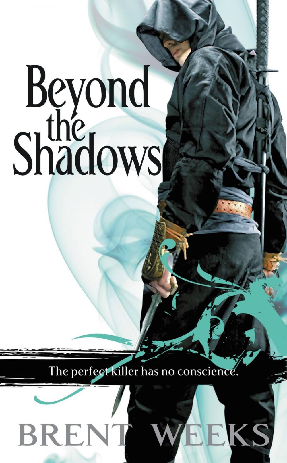 Big bigCover of Beyond the Shadows