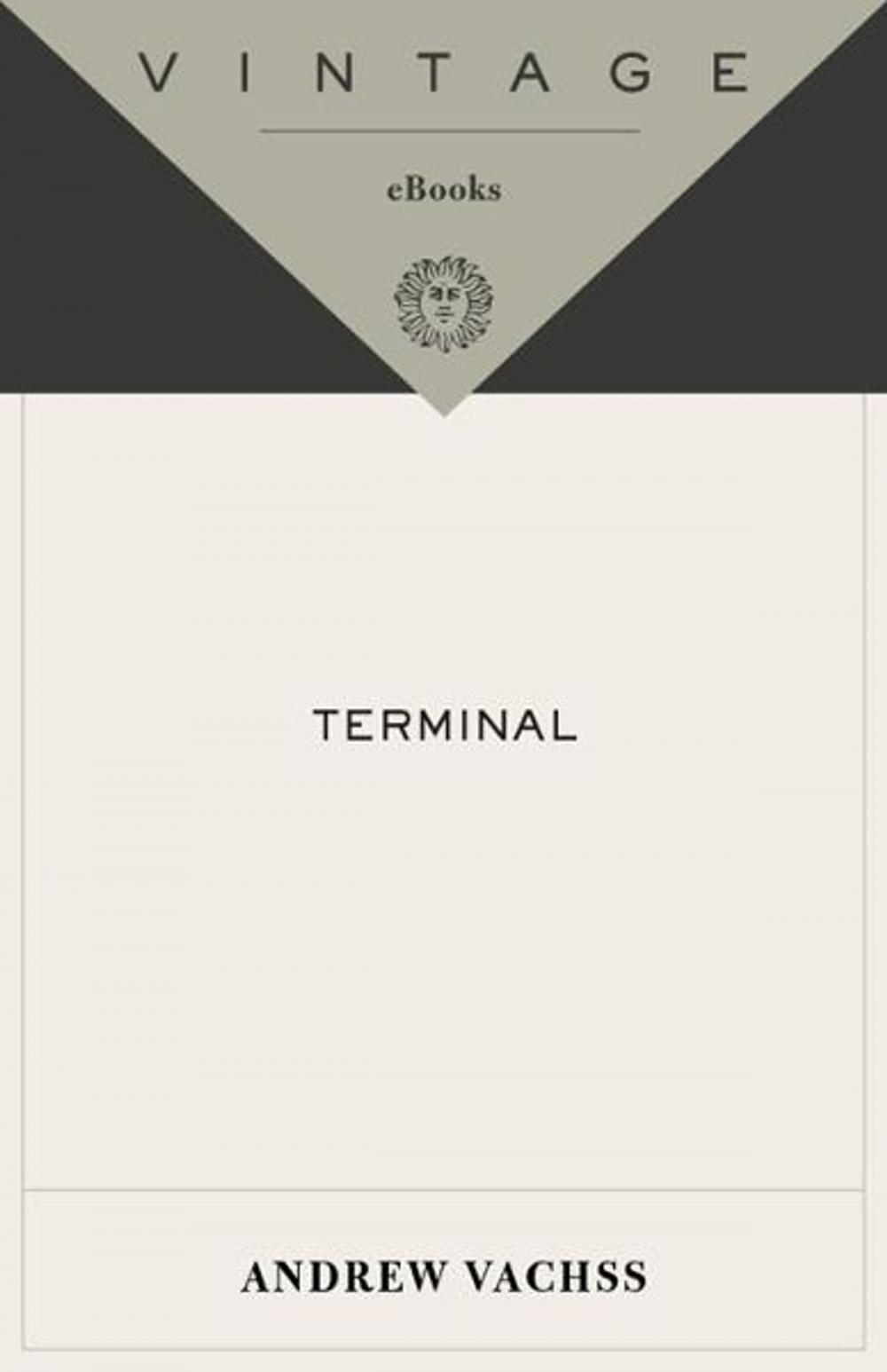 Big bigCover of Terminal