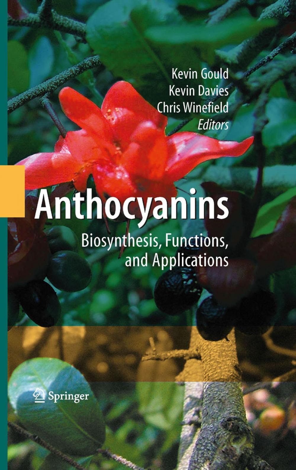 Big bigCover of Anthocyanins