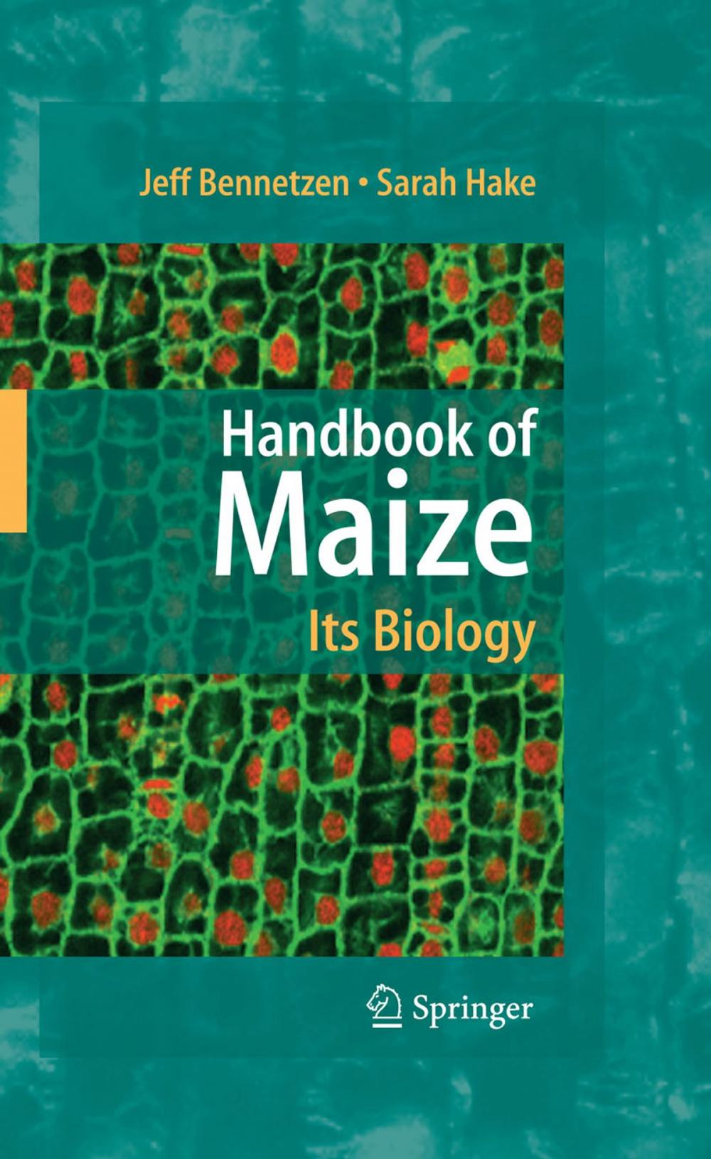 Big bigCover of Handbook of Maize: Its Biology