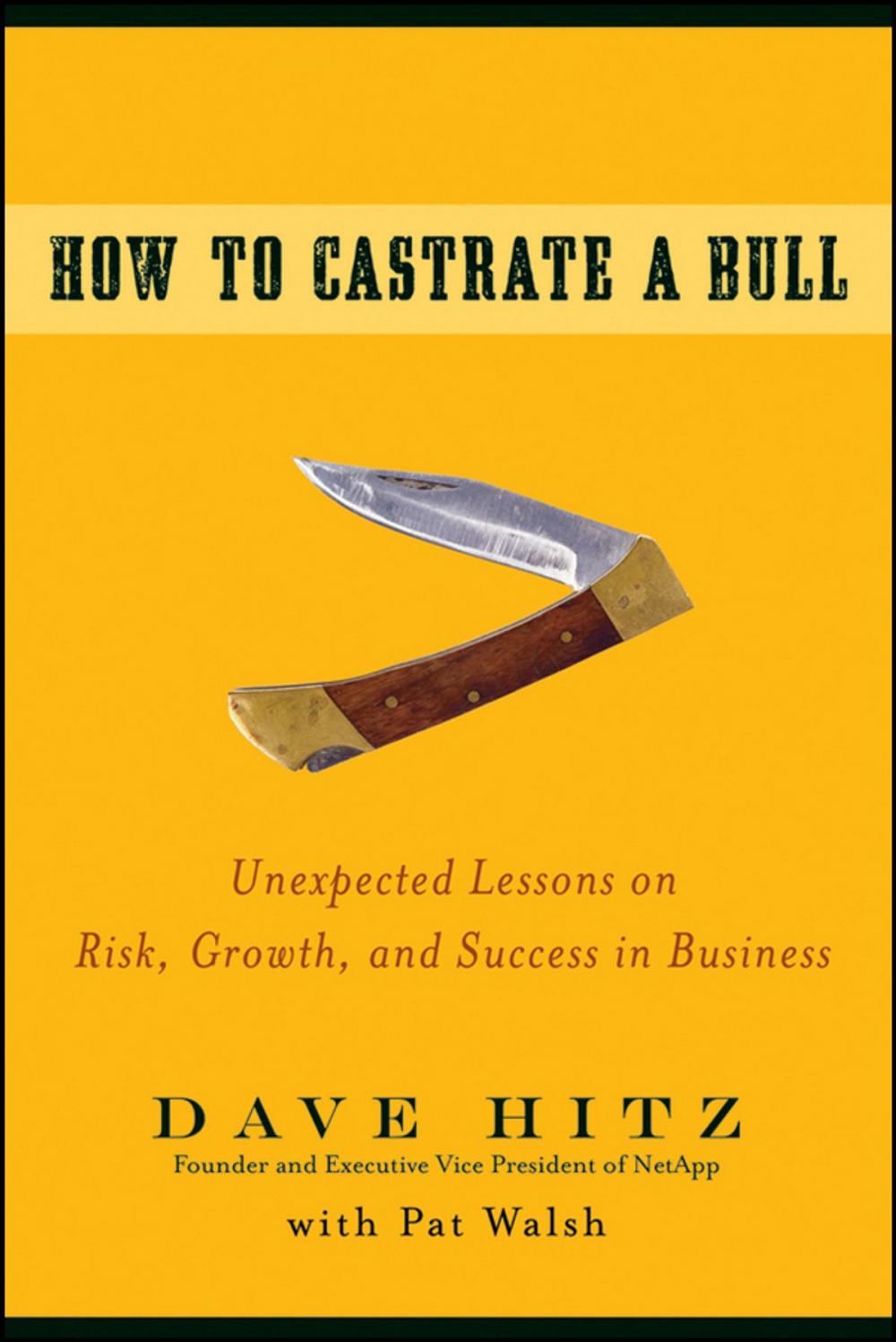 Big bigCover of How to Castrate a Bull