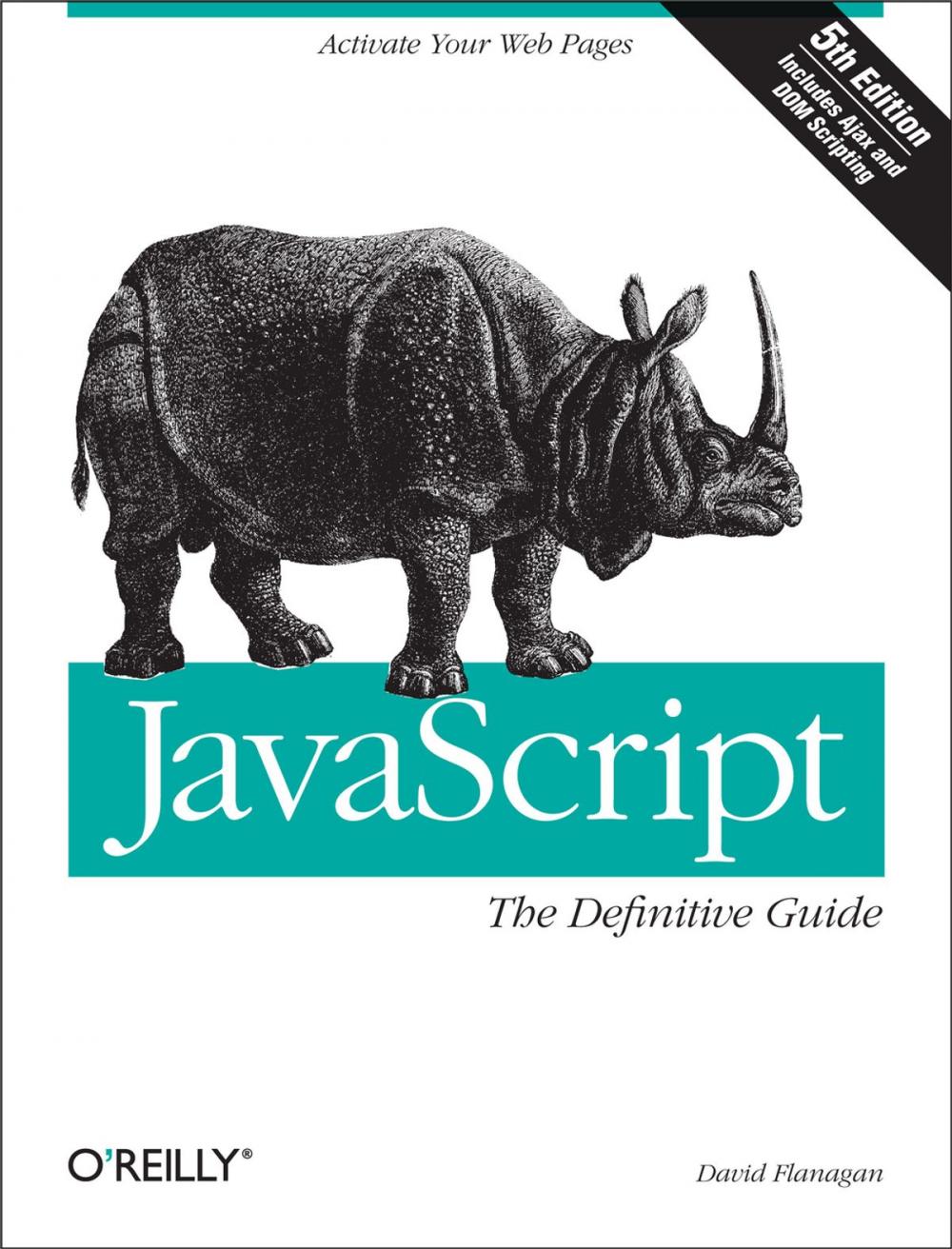 Big bigCover of JavaScript: The Definitive Guide