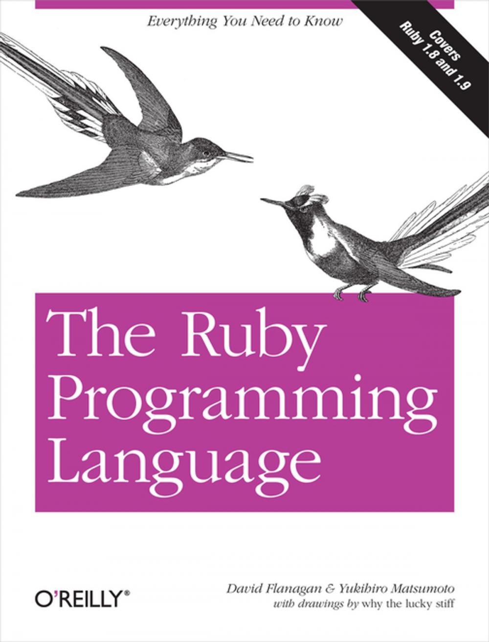 Big bigCover of The Ruby Programming Language