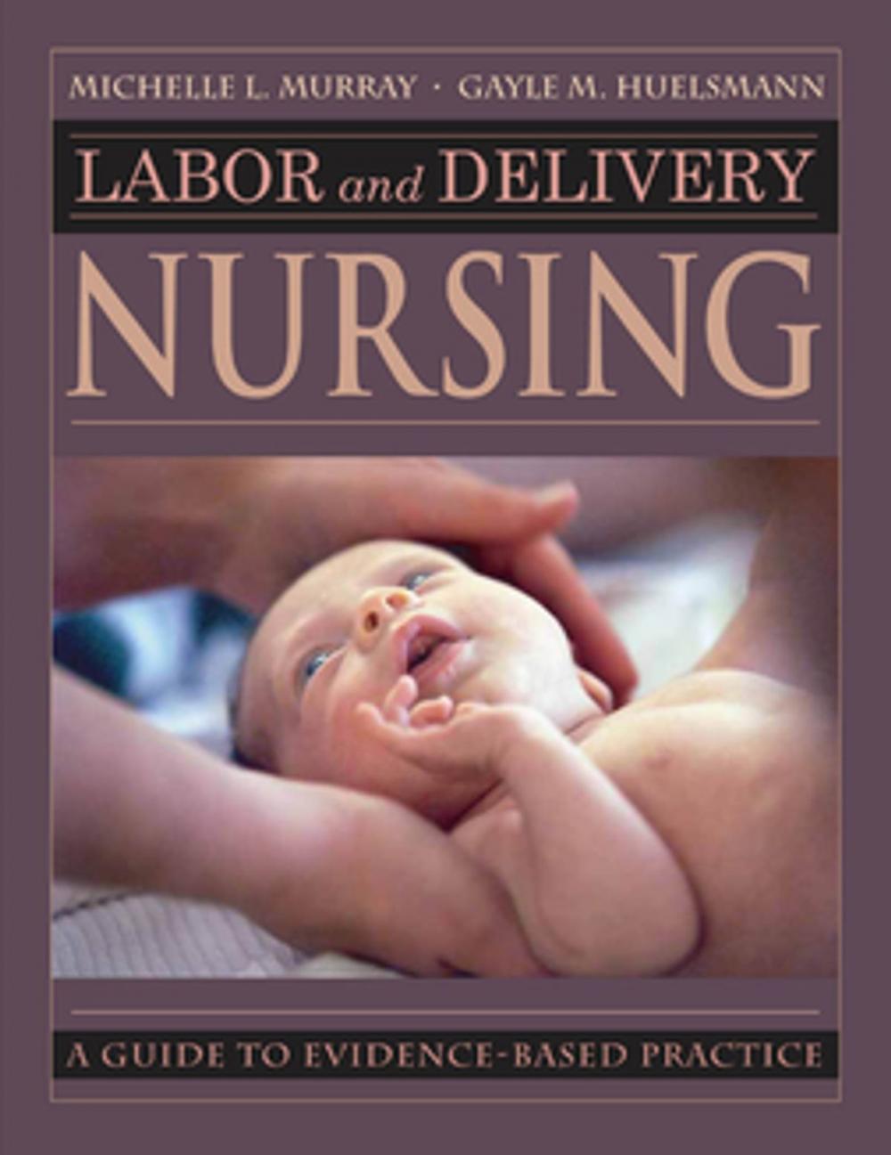 Big bigCover of Labor and Delivery Nursing