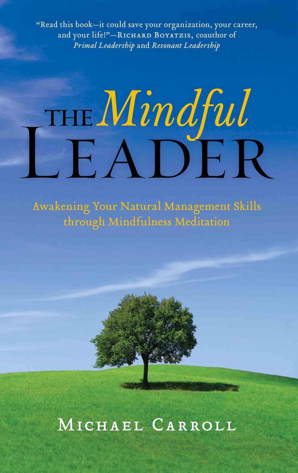 Big bigCover of The Mindful Leader