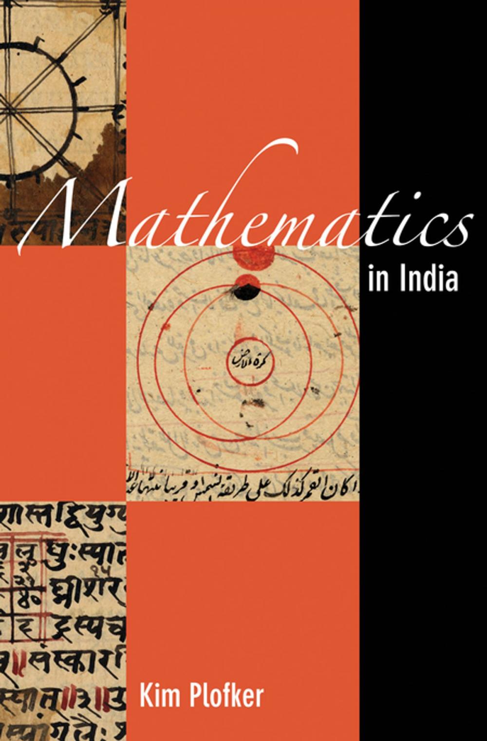 Big bigCover of Mathematics in India