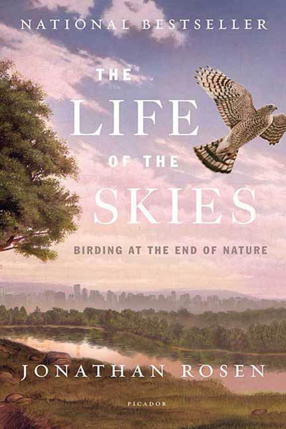 Big bigCover of The Life of the Skies