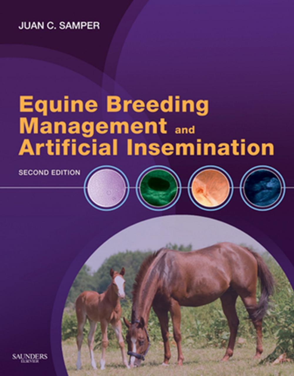 Big bigCover of Equine Breeding Management and Artificial Insemination