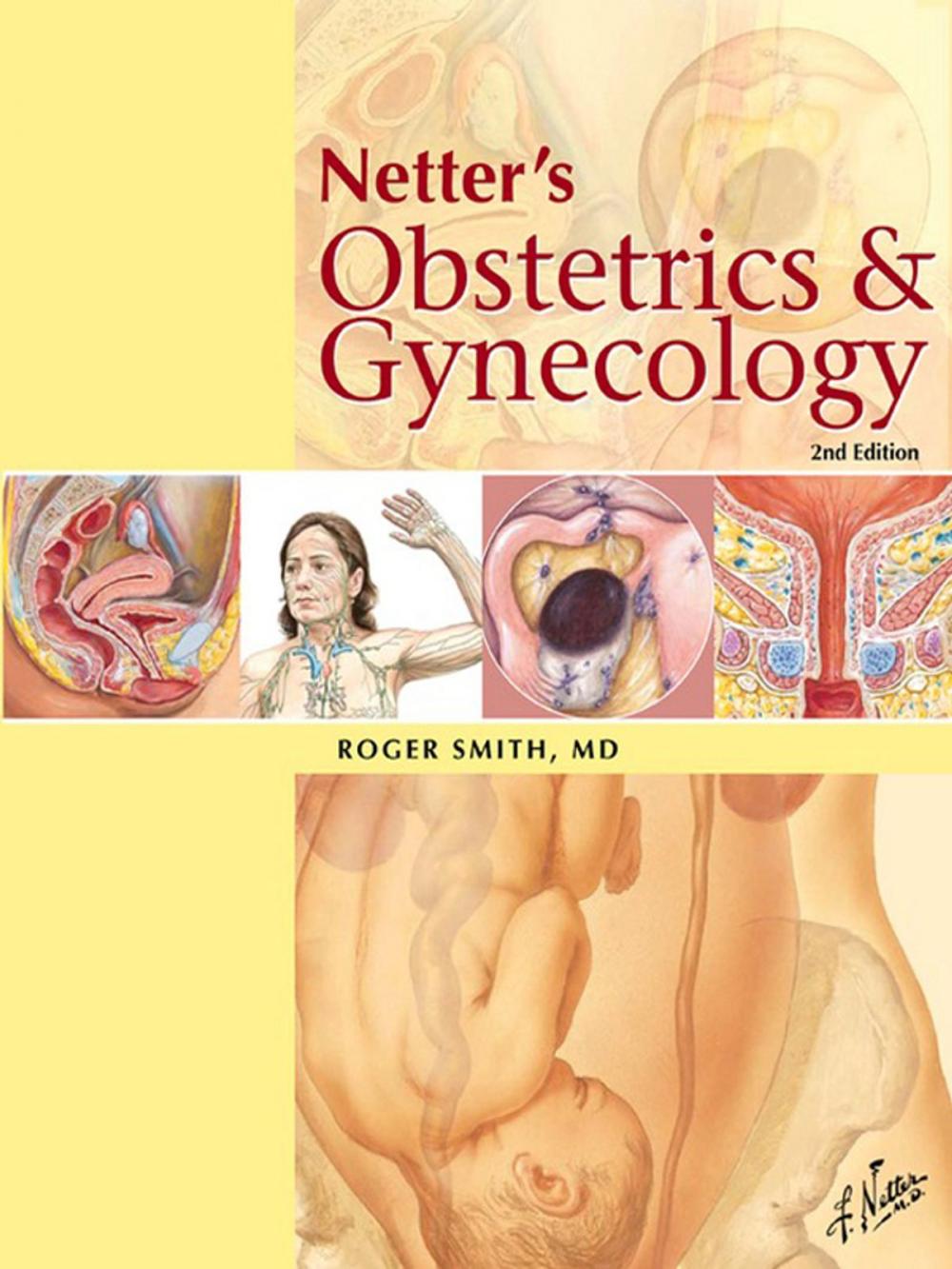 Big bigCover of Netter's Obstetrics and Gynecology E-Book