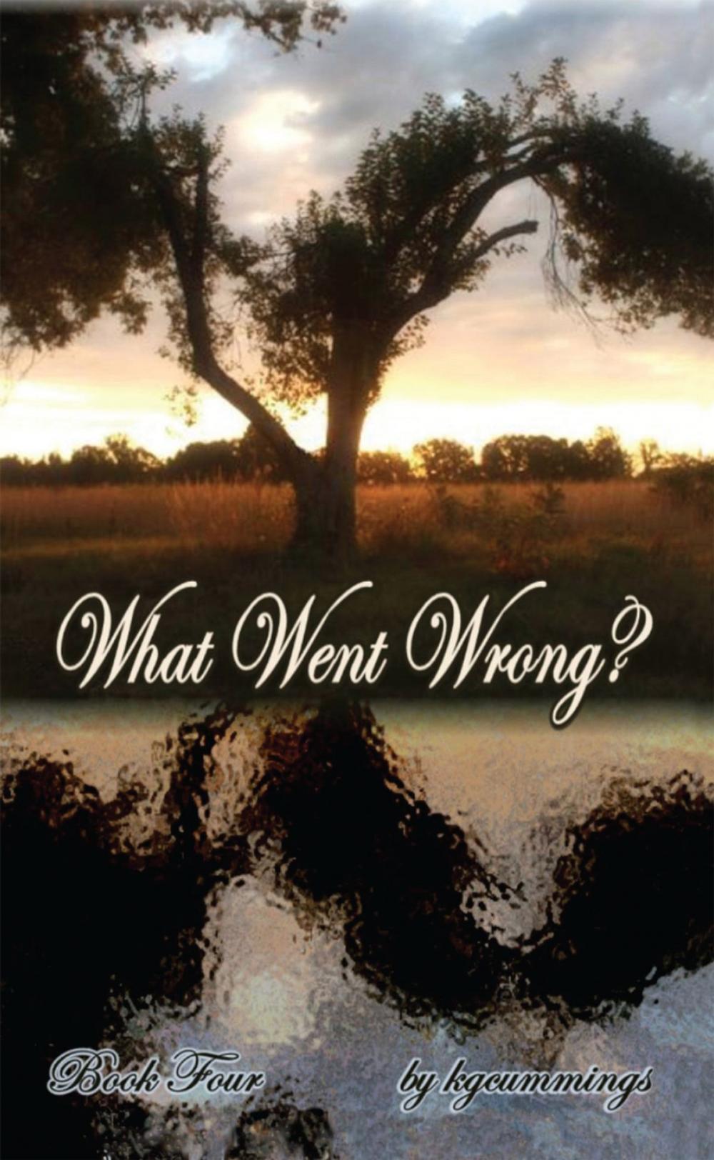 Big bigCover of What Went Wrong?