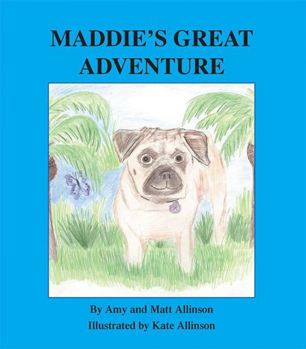 Big bigCover of Maddie's Great Adventure