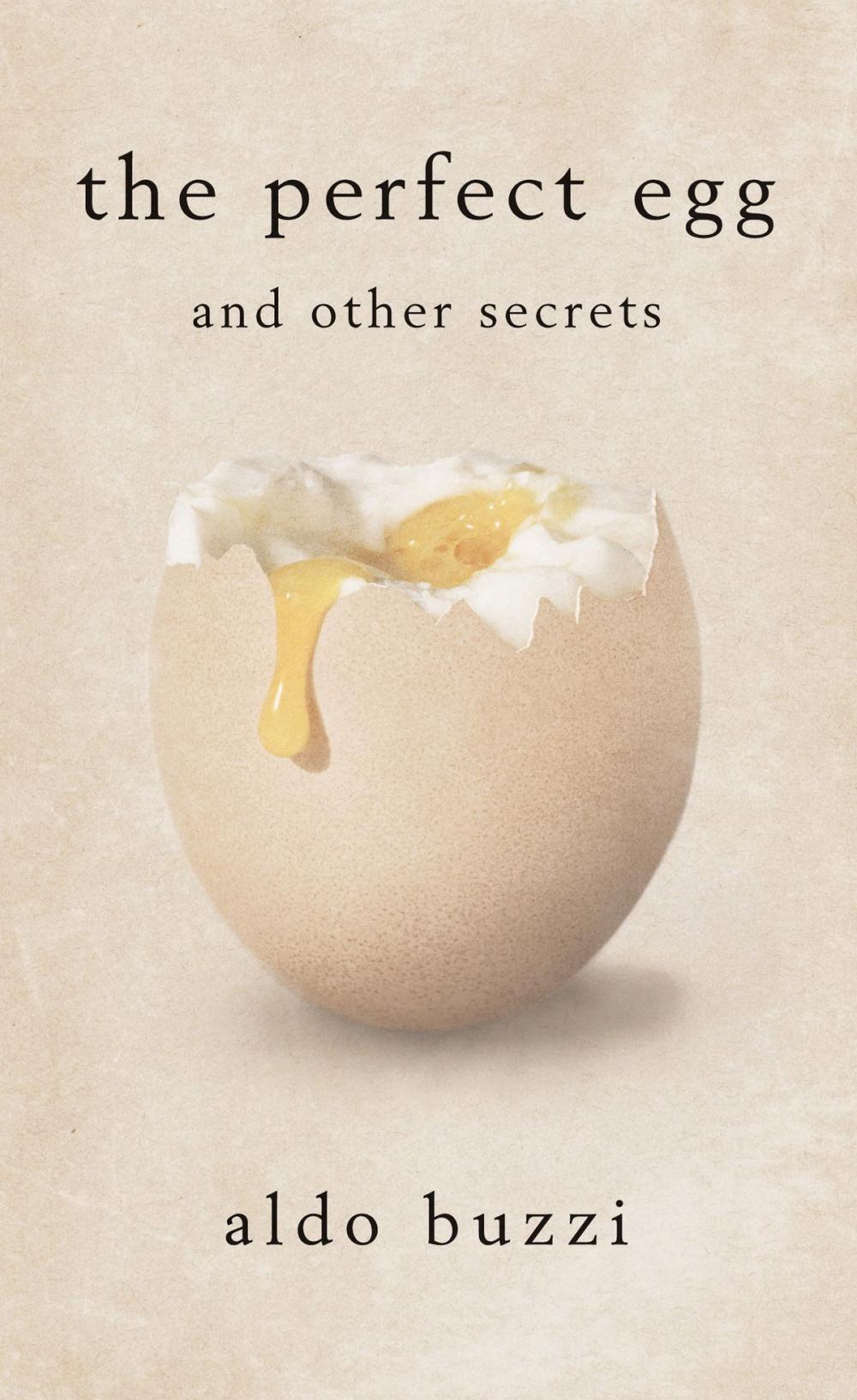 Big bigCover of The Perfect Egg