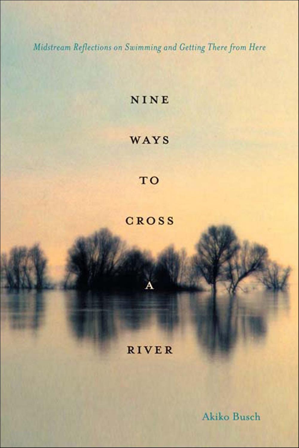 Big bigCover of Nine Ways to Cross a River