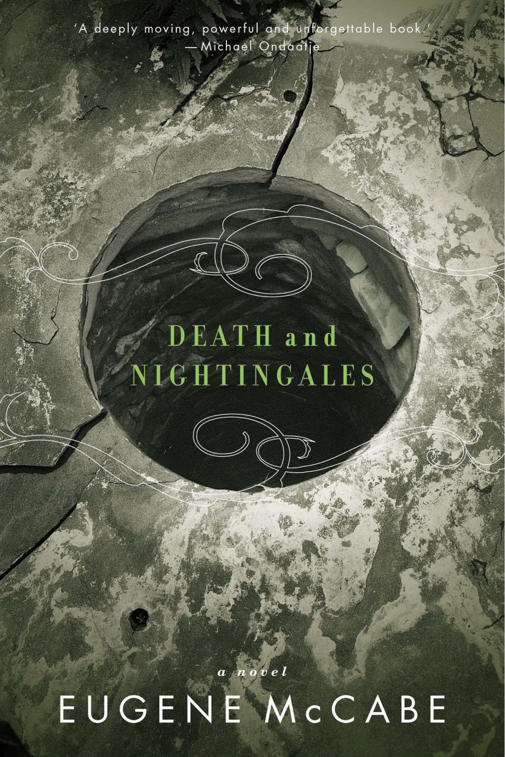 Big bigCover of Death and Nightingales