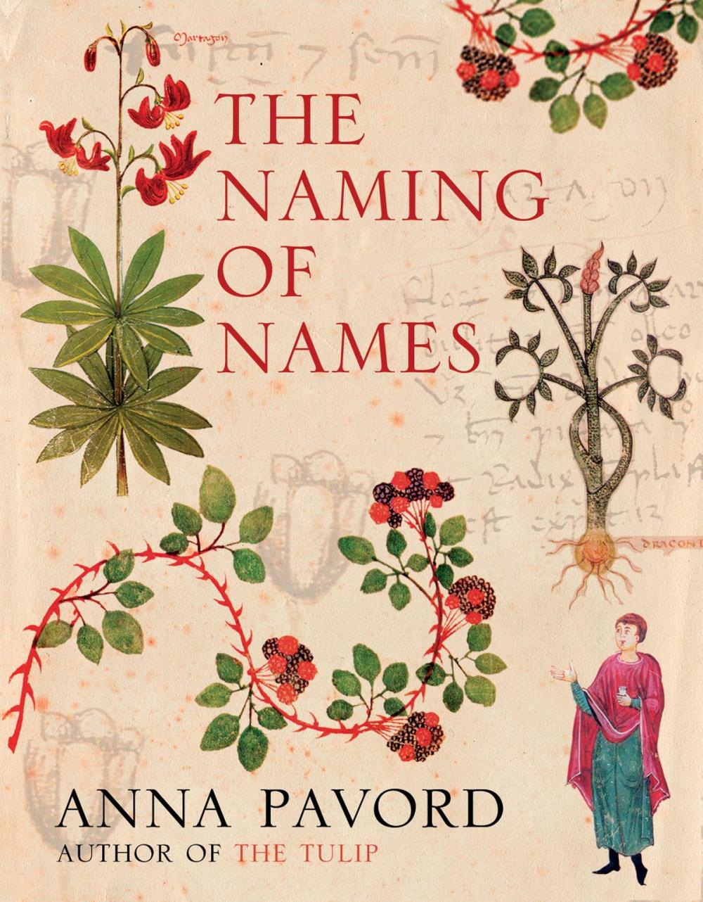 Big bigCover of The Naming of Names