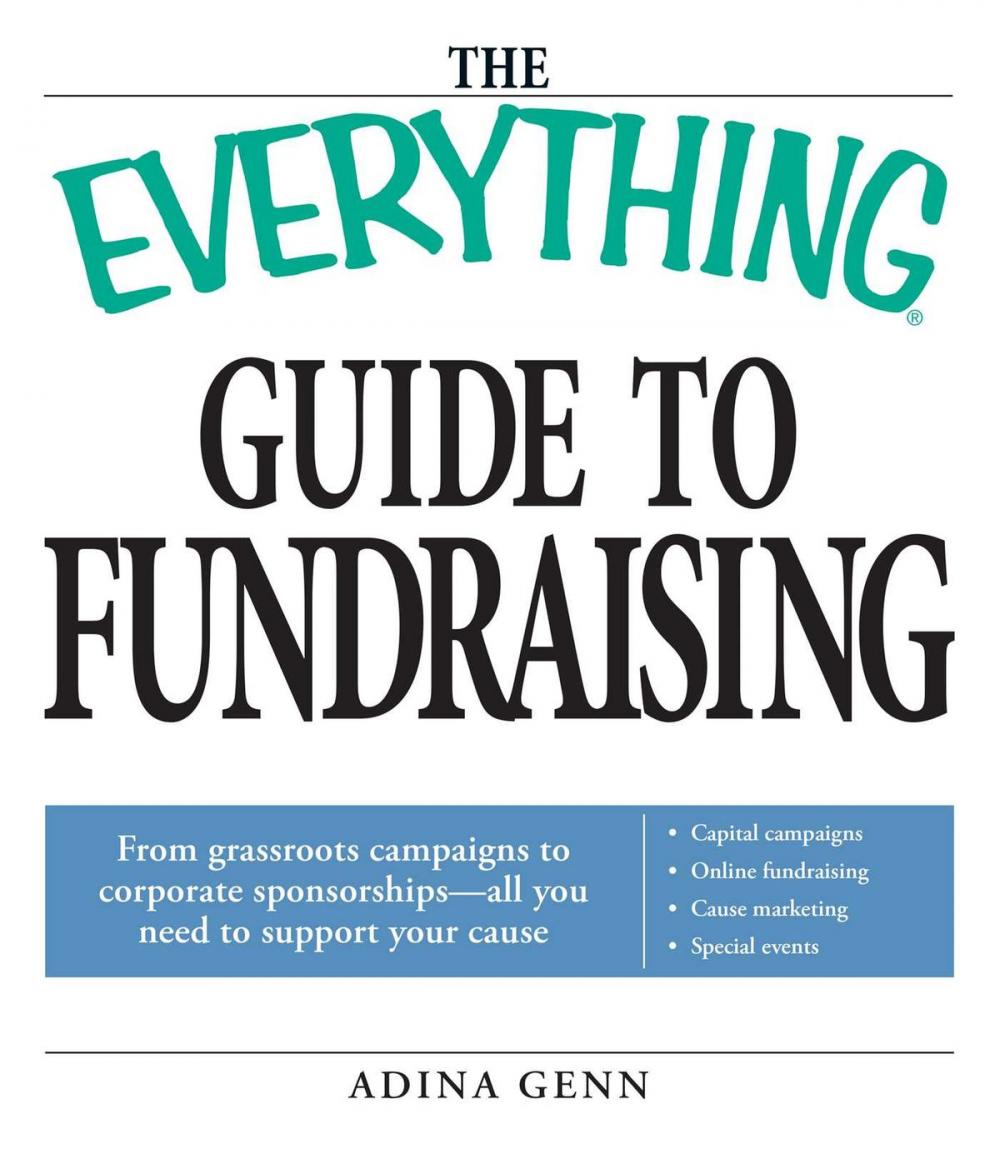 Big bigCover of The Everything Guide to Fundraising Book