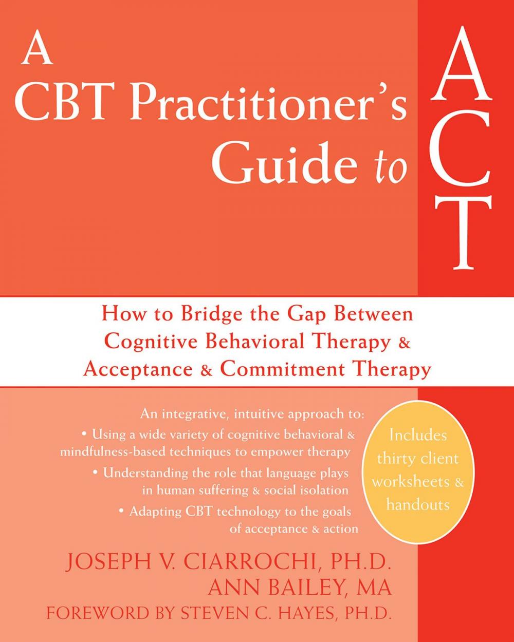 Big bigCover of A CBT Practitioner's Guide to ACT