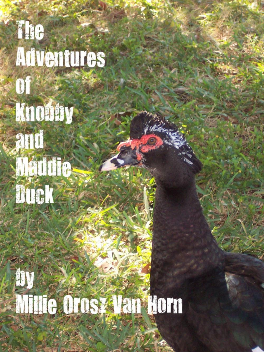 Big bigCover of The Adventures Of Knobby And Maddie Duck