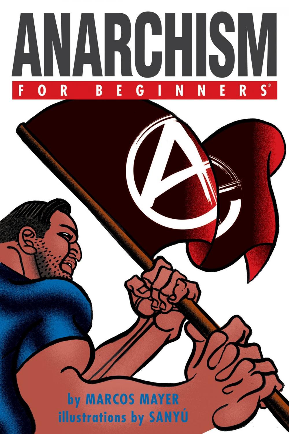 Big bigCover of Anarchism For Beginners