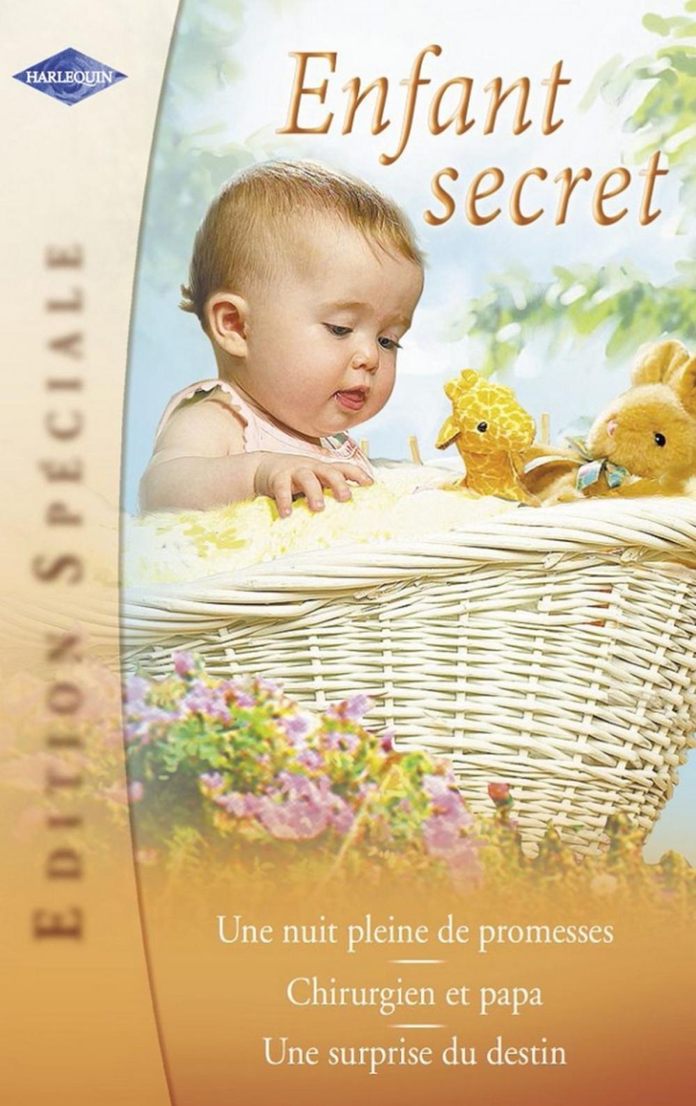 Big bigCover of Enfant secret (Harlequin Edition Spéciale)