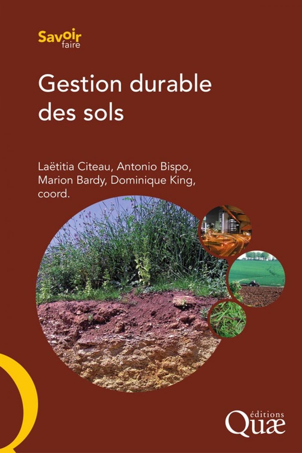 Big bigCover of Gestion durable des sols