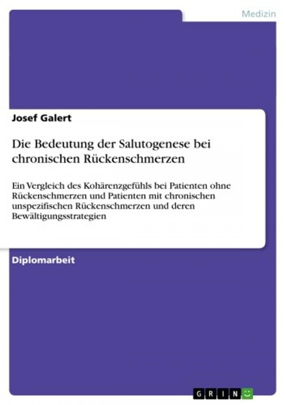 Big bigCover of Die Bedeutung der Salutogenese bei chronischen Rückenschmerzen