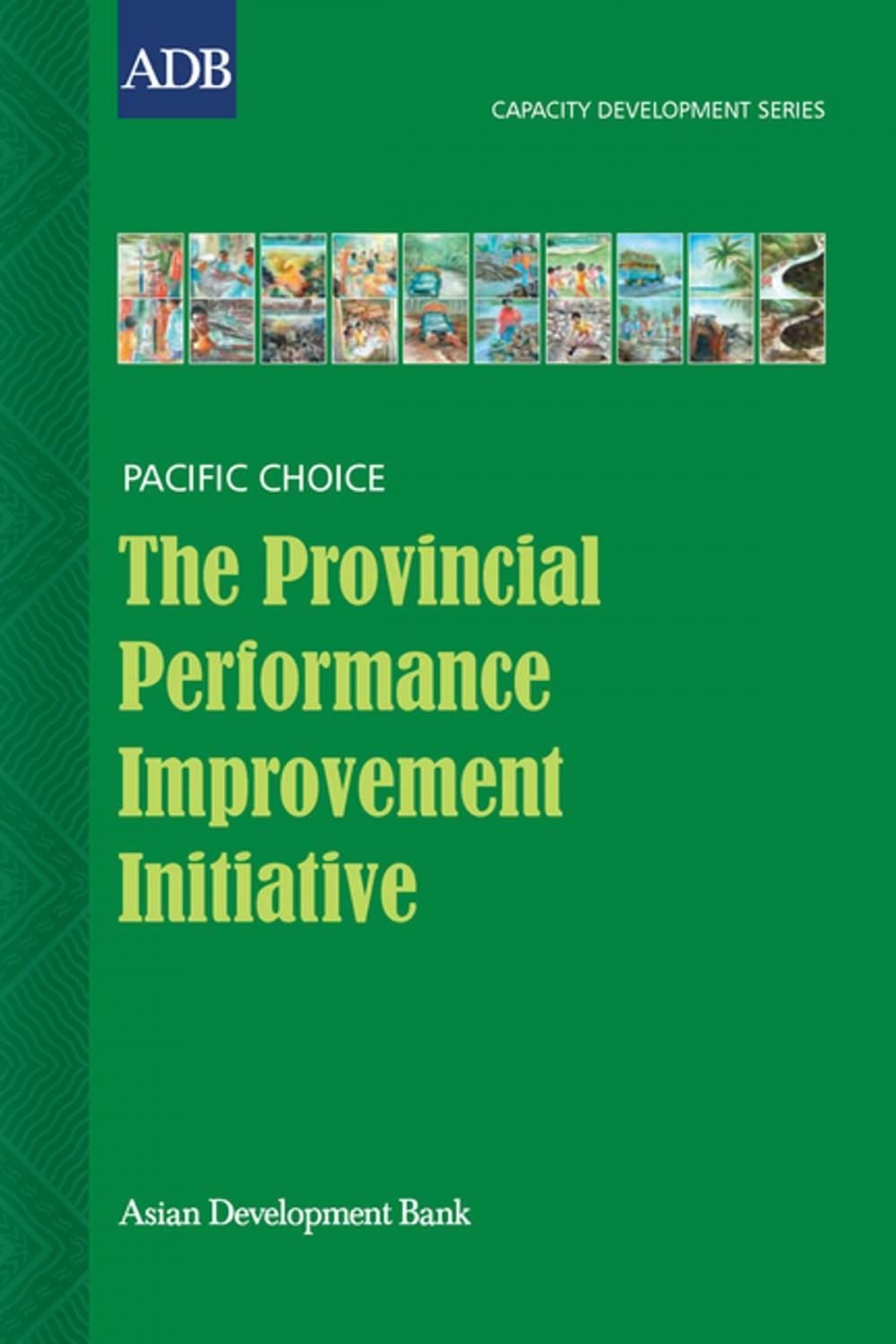 Big bigCover of The Provincial Performance Improvement Initiative