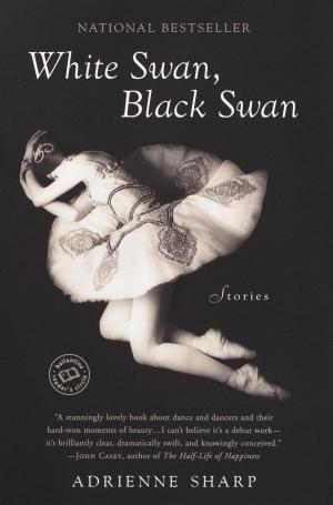 Book cover of White Swan, Black Swan