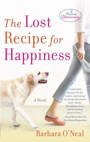 Cover of the book The Lost Recipe for Happiness by Chaim Potok