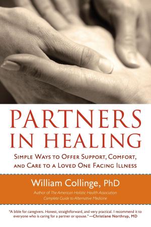 Book cover of Partners in Healing