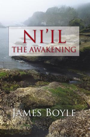 Cover of the book Ni'il: the Awakening by William L. Mince