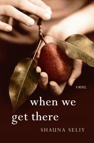Book cover of When We Get There