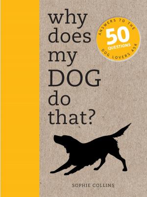 Book cover of Why Does My Dog Do That?: Comprehensive answers to the 50+ questions that every dog owner asks