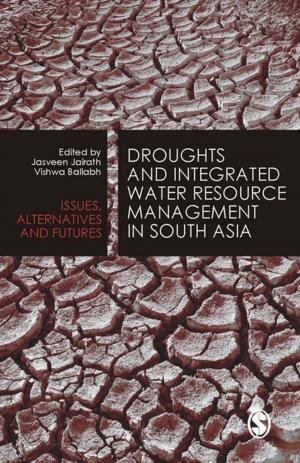 Cover of the book Droughts and Integrated Water Resource Management in South Asia by Franco Pieracci