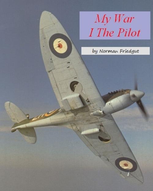 Cover of the book My War: I The Pilot by norman freidgut, zanybooks