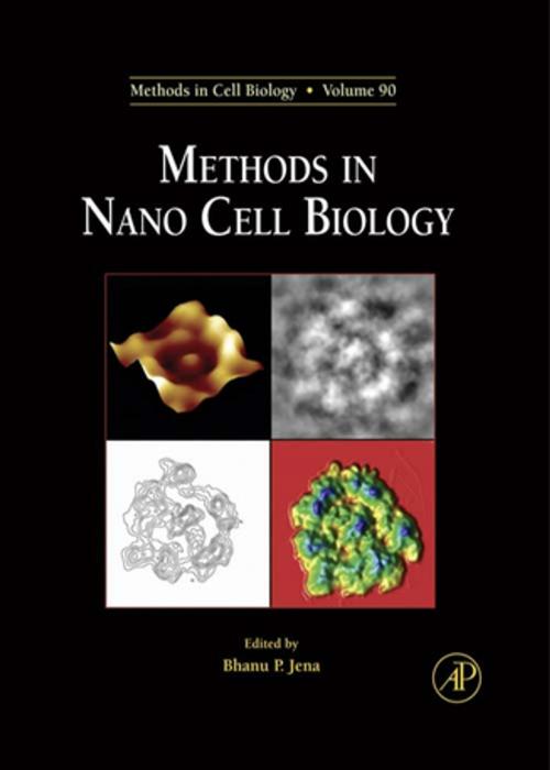 Cover of the book Methods in Nano Cell Biology by Bhanu P Jena, Elsevier Science