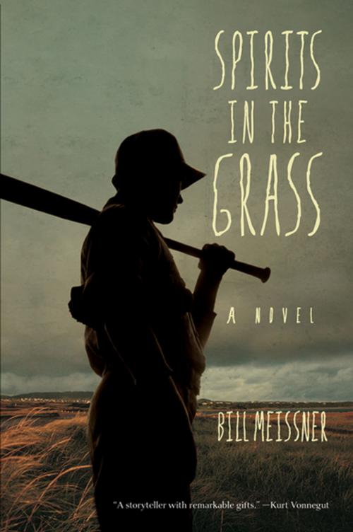 Cover of the book Spirits in the Grass by Bill Meissner, University of Notre Dame Press