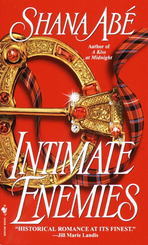 Cover of the book Intimate Enemies by Shana Abé, Random House Publishing Group