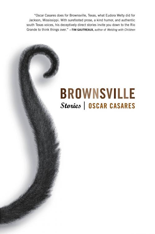 Cover of the book Brownsville by Oscar Casares, Little, Brown and Company