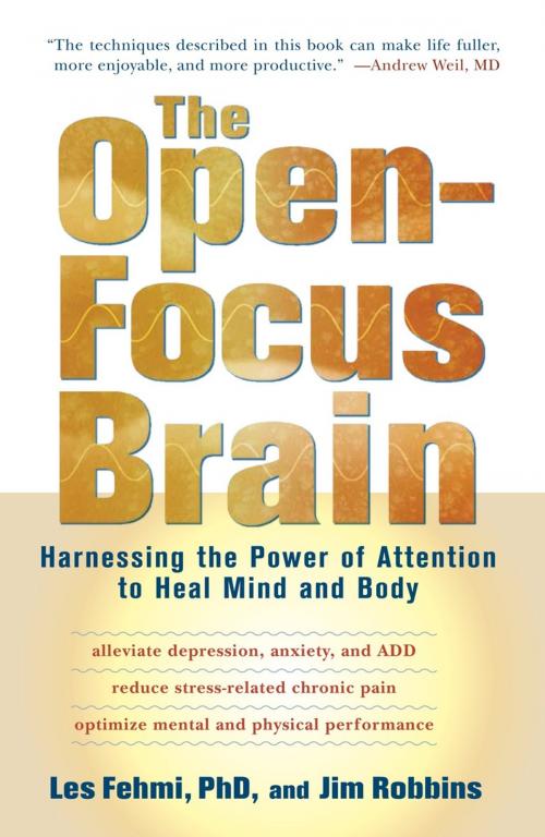 Cover of the book The Open-Focus Brain by Les Fehmi, Jim Robbins, Shambhala