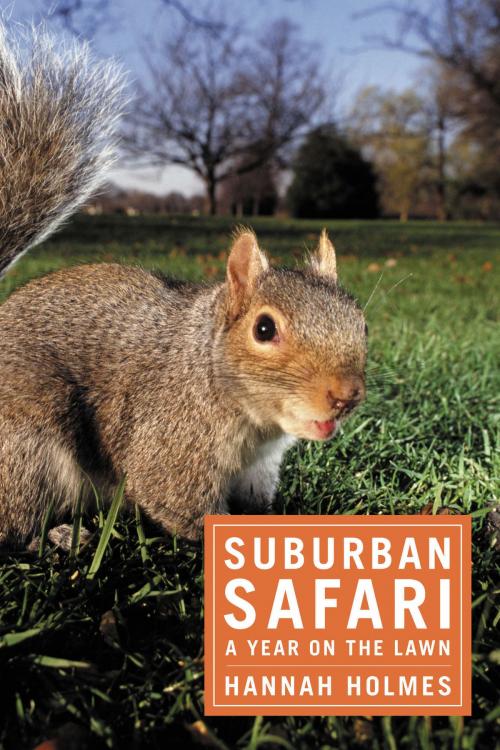 Cover of the book Suburban Safari by Hannah Holmes, Bloomsbury Publishing