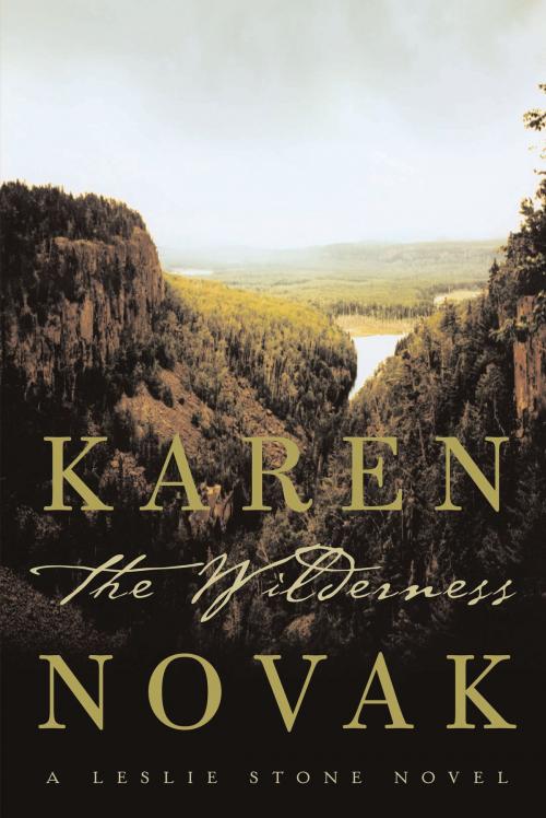 Cover of the book The Wilderness by Karen Novak, Bloomsbury Publishing